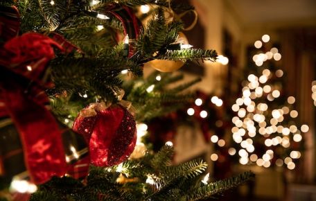 Elevate Your Christmas Decor With Hoselink Solar Lights